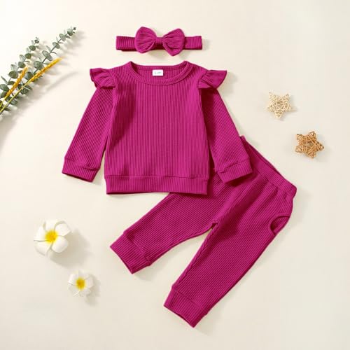 Baby Girl Clothes Fall Winter Outfits Infant Toddler Girls Outfit Long Sleeve Sweatshirt Pants Headband Outfits Set2