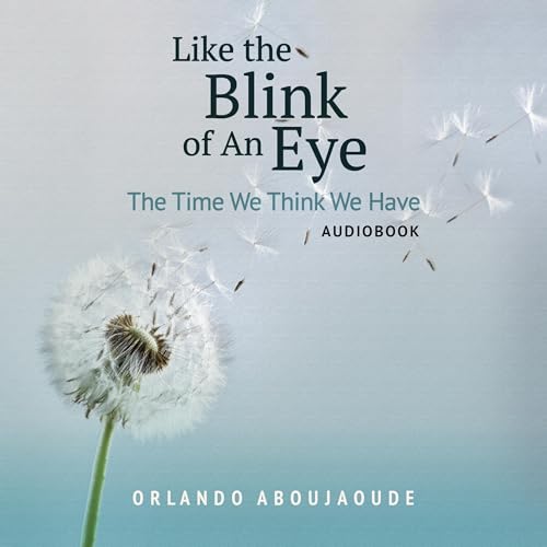 Like the Blink of an Eye by Orlando Aboujaoude episode artwork
