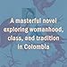 December Breeze: A masterful novel on womanhood in Colombia