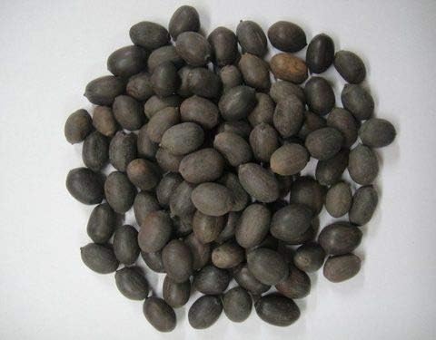 Divesh Store Lotus Seed 100 Grm -Kamal Gatta Seed-Nelumbo Nucifera Gaertn