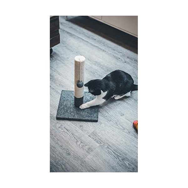 Tyrol | Kratzbaum für Katzen, 42 cm | Kratzpfosten für Katzen aus Jute und strapazierfähigem Stoff mit Bommel | Kratzbaum in modernem Design Farbe Grau und Weiß | stabile Basis 30 x 30 cm – Bild 5