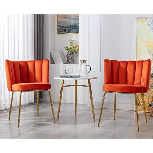 Velvet Barrel Dining Chairs Set of 2 Modern Accent Chairs Upholstered Host Side Chairs with Gold Metal Legs for Home Kitchen Living Room, Rose