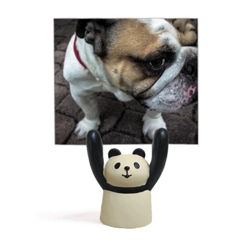 Photographie bouledogue support mémo pour personnaliser votre bureau