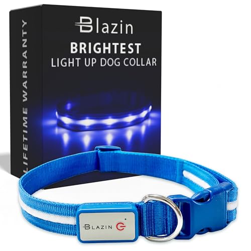 Blazin Light Up Dog Collar - The Original LED Dog Collar - USB Rechargeable - Waterproof - 1,000 Feet of Visibility - Dog Collar Light for Small, Medium, Large Dogs - USA Brand
