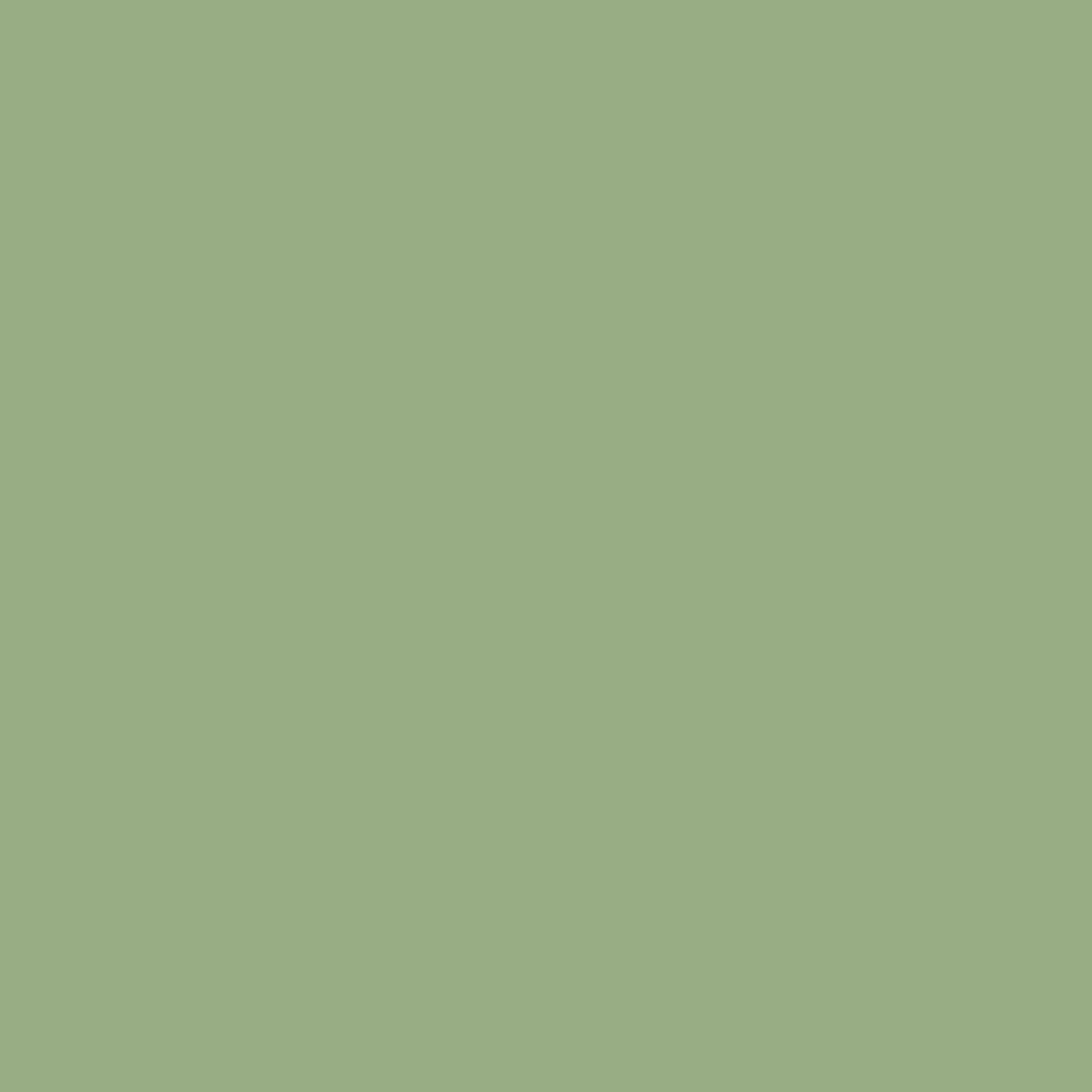 Ripolin – Vernice per ferro da esterno, glicero, antiruggine, senza sottostrato diretto sulla ruggine, resistente alle intemperie, ai raggi UV e agli urti, lucida, 2 l, verde olivo