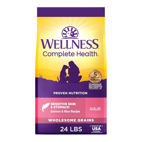 Wellness Complete Health Sensitive Skin & Stomach Dry Dog Food, Wholesome Grains, Natural, Salmon & Rice Recipe, (24-Pound Bag)