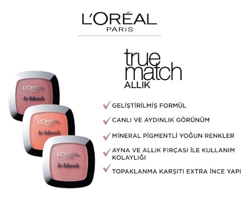 Accord Parfait le blush #120 sandalwood - vue 8