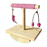 Perchoir à Oiseau - Perchoir en Bois à Perruche,Jouet Balançoire pour Oiseau,pour Ara Conure Perruche Éleveurs Volières Zoo Salon Chambre Bureau