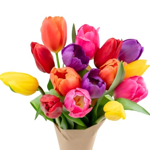 Image of Stargazer Barn 15 Stem Rainbow Tulips Bouquet - Fresh Cut Flower Delivery, Hand-Tied in the USA, Gift for Birthday, Anniversary, Sympathy or Home Decor - Vase Not Included