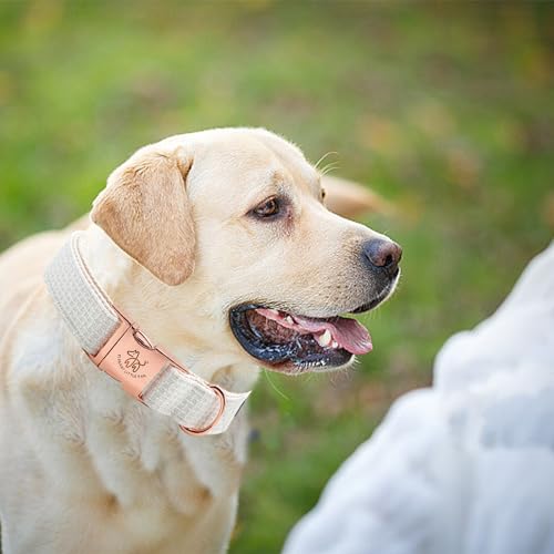 Elegant little tail Hundehalsband - Fischgräten-Hundehalsband Weiß Weiches Langlebiges Hundehalsband Verstellbares Hundehalsband für Kleine Mittlere Große Hunde