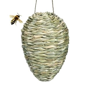 Generisch Wespenattrappe QOSHHA71OXRXPX7NMO21 Hornissen Bienenabwehr