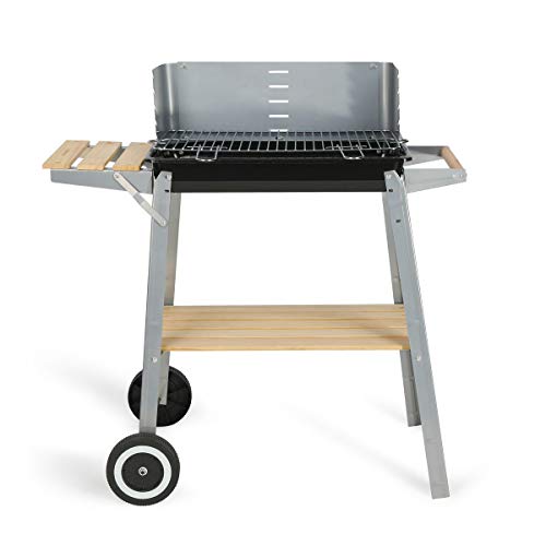 Livoo - Barbacoa De Carbón 48X28Cm - Doc244 En Oferta Livoo - Barbacoa De Carbón Doc244 Gris