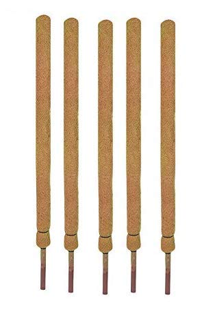 See full amazon price history chart for COIR GARDEN Coir Moss Stick - Coco Pole 3 Feet(91 CM) - 5 Pieces - Coir Moss Stick for Climbing Money Plant, Indoor & Outdoor Plants, HOUSING Plants Support Stick COIR GARDEN Coir Moss Stick - Coco Pole 3 Feet(91 CM) - 5 Pieces - Coir Moss Stick for Climbing Money Plant, Indoor & Outdoor Plants, HOUSING Plants Support Stick (B07BJ2T7W5) Amazon Price History, Amazon Price Tracker