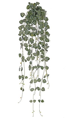 artplants.de Ceropegia Textil Kirara, en Vara de fijación, Zonas resguardadas, Verde, 70cm - Enredadera Rosario simulada/Planta Colgante