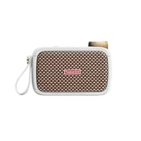 Amazon | 【VGP 2025 受賞】 Positive Grid Spark GO pearl