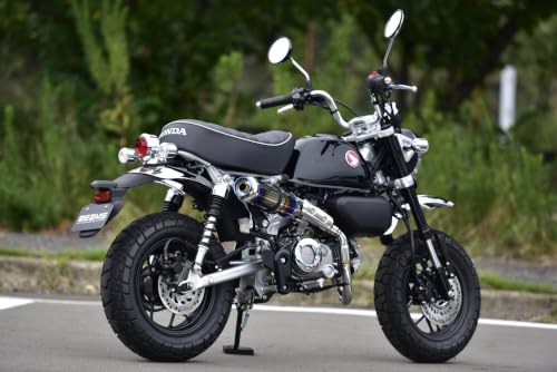 Amazon | ビームス(BEAMS) バイク用 R-EVO TYPE C チタン-SP モンキー