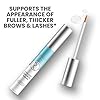 Eyelash-Growth-Serum-Eyebrow-Enhancer-Biotin-Vitamin-E-Collagen-Rapid-Growth-Serum-for-Thicker-Longer-Lashes-for-Men-and-Women-4ML-014-FL-OZ Eyelash Growth Serum & Eyebrow Enhancer - Biotin, Vitamin E & Collagen - Rapid Growth Serum for Thicker & Longer Lashes - for Men and Women, - 4ML / 0.14 FL OZ