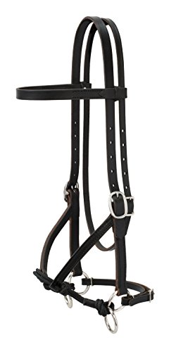 Justin Dunn Bitless Bridle