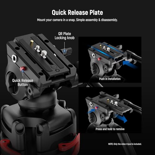 NEEWER Basic 74" Video Tripod with Fluid Head , Metal Camera Tripod with Smooth Friction Damping, Mid Level Spreader, Quick Release Plate Compatible with Manfrotto 501, Max Load 17.6lb, TP37