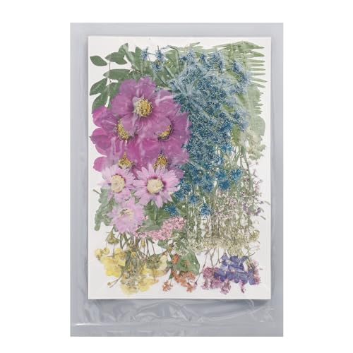 110 piezas flores prensadas secas para manualidades miniatura 1