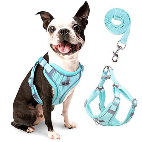 rennaio Hundegeschirr Kein Ziehen, Verstellbares Welpengeschirr mit 2 Leinenclips, Reflektierendes Hundegeschirr und Leine Set für kleine und mittelgroße Hunde (Cyan, M)