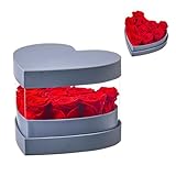 Eterfield Forever Flowers in Heart Shape Box Preserved Roses That Last Over a Year Gifts for Wife Mother Valentines Day Mothers Day (Haze Blue Box, 10 Red Roses)