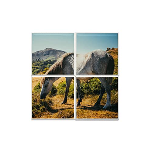 Carreaux céramique décoratifs cheval de prestige pour revêtement mural haut de gamme