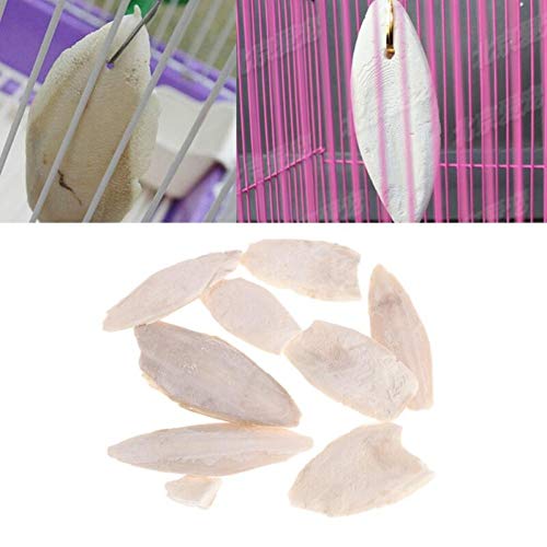 Zonster 1 Bag Cuttlebone Tintenfisch Sepia Knochen Tuppoly Fish Bird Food Calcium Pickstone Papagei Vögel Zähne Schleiftraining