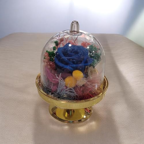 Genérico Rosa Azul Oscuro con Flor preservada. Presiosa Rosa eterna Azul con un conjuto de Color en Flor preservada. Comprar Rosas Azules. Regalo Original, cumpleaños, Aniversarios, Decoracion.