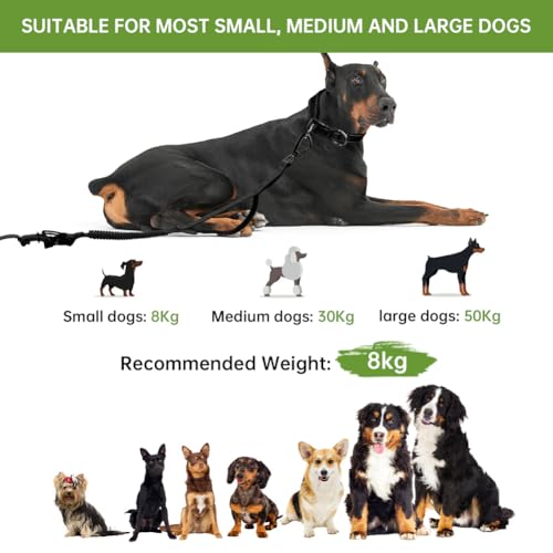vsshe Freihandleinen Hundeleine, 2.5m Joggingleine Hunde, Verstellbarer Hüftgurt & Dehnbare Bungee-Leine, Lange Hundeleine mit Sicherheitsschnalle & Reflektierenden Nähten für Klein Mittel Groß Hunde