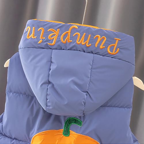 sfdgfhyf Toddler Boys' Hooded Puffer Vest Winter Lightweight Packable Sleeveless Down Coat Cute Pumpkin Padded3