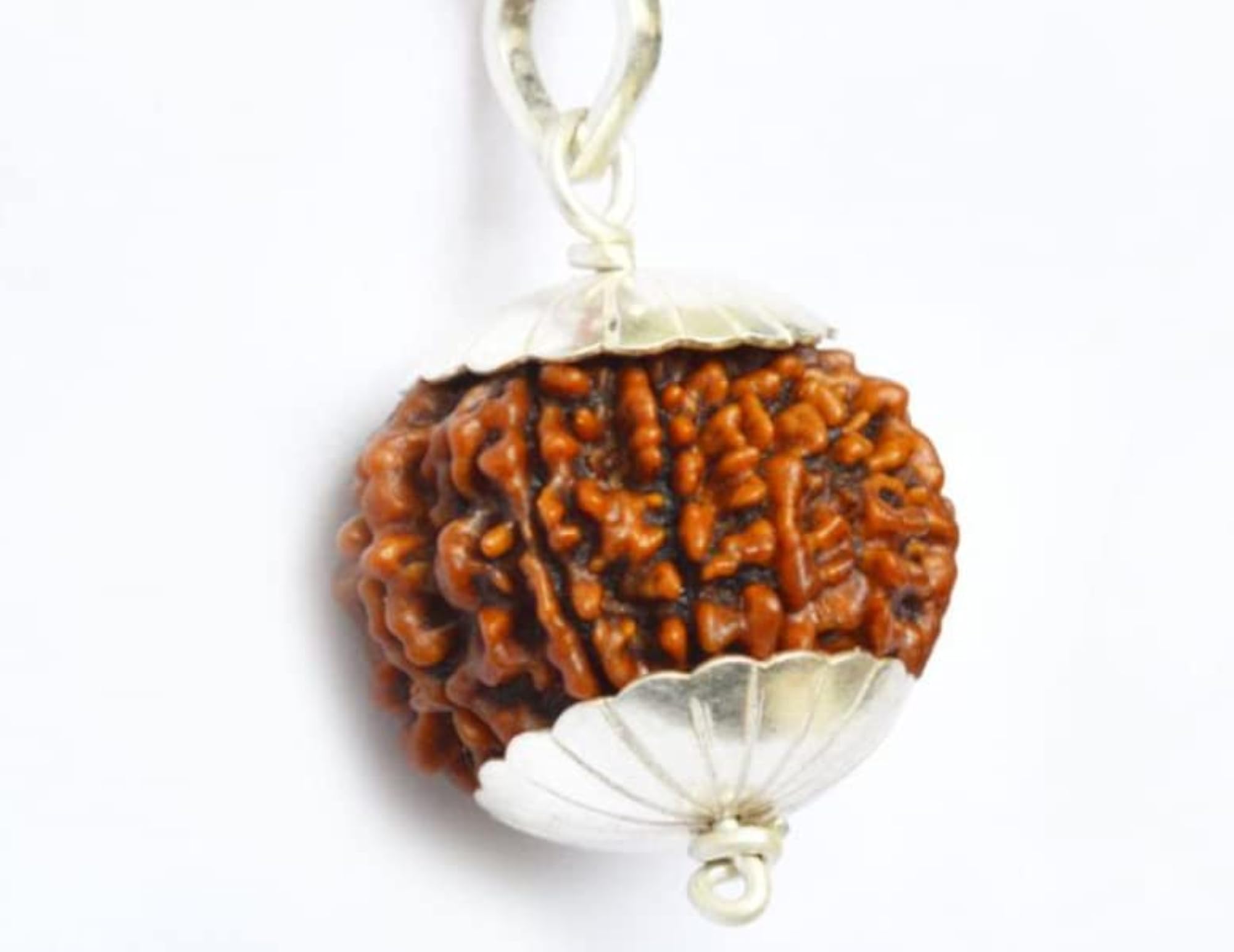 SreeGems 10 Mukhi Rudraksha Original Certified Nepal