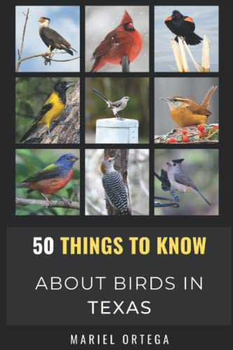 50 Things to Know About Birds in Texas: Birding in the Texas (50 Things to Know About Birds- United States)