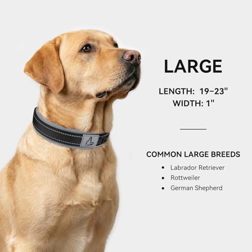 Image of Joytale Dog Collar for Large Dogs, Neoprene Padded and Adjustable, Reflective Wide Heavy Duty Pet Collars with Durable Metal Belt Buckle for Walking, Black, L
