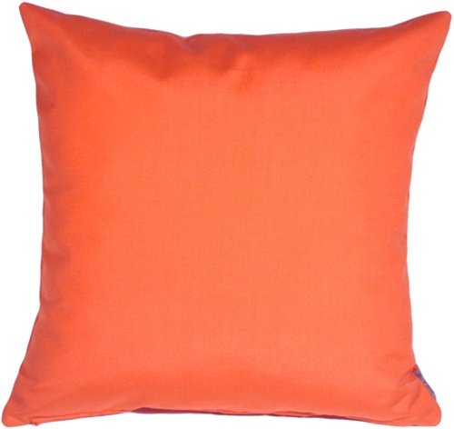 PILLOW DÉCOR Sunbrella Outdoor Pillow, Melon, 20