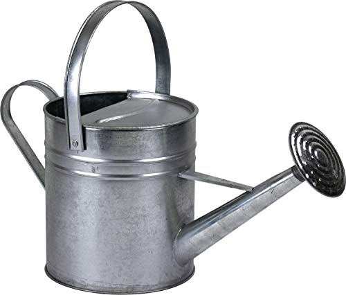 Garden Watering Can Galvanised Outdoor Metal Indoor Plants Flowers Vegetable Growing Can 5L