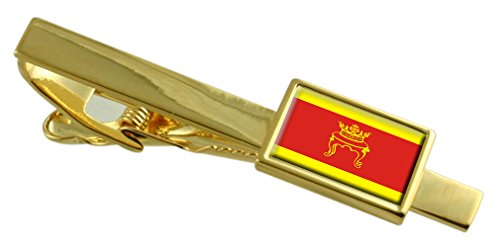 Sujeta Corbatas Dorado de la Ciudad de Tver Rusia para Protocolo y Eventos Formales