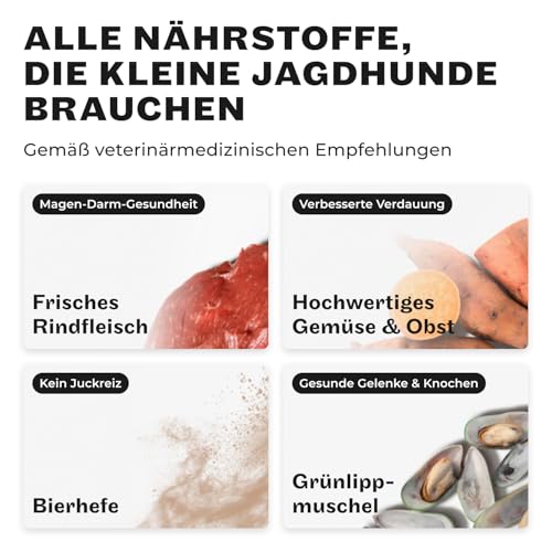HEY HOLY Premium Nassfutter für kleine Jagdhunde 100% getreidefrei | 6X 200g Hundefutter für ausgewachsene kleine Jagdhunde mit Rind | Hochverträglich aus natürlichen Zutaten