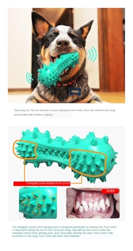 Jouet à mâcher durable pour chien robuste en caoutchouc ergonomique - 4