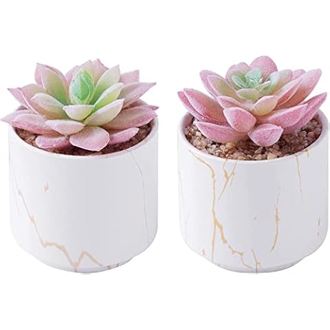 ZENMAG Fake Succulents, Mini Succulents Plants Artificial in White Ceramic Pots for Desk Livingroom Bathroom and Home Decoration Office Decor for Women Set of 2 Artificial Succulents Cover