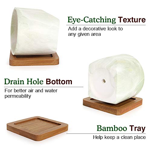 Luxspire 2.8 Inch Small Succulent Pots Set of 4, Mini Ceramic Porcelain Succulent Cactus Plant Pot Planter Container⦠- Afbeelding 4