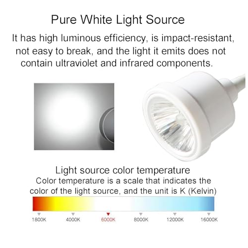 Lampe d'examen chirurgicale à LED sur pied rotative et réglable en hauteur