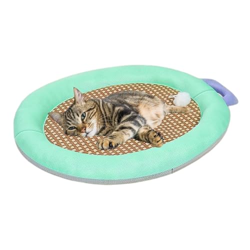 Tapis de glace intérieur Feng Shui pour le bien-être du chien et chat en appartement