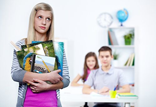 New Generation - Wild Life Animals - 2 Pocket Folders, Assorted Designs Letter Size Folders With 3 Hole Punch To Use With Your Binder, Folders Are Heavy Duty And Glossy Laminated (6 Pack Folders) #TOP2