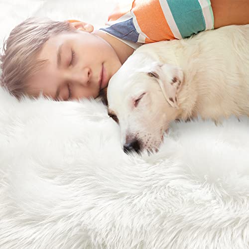 Noahas White Faux Fur Rug,Luxury Fluffy Rugs for Bedroom,2 x 3 Feet Washable Area Rugs,Sheepskin Bedroom Rug,Furry Carpet Small Shag Rug,Soft Throw Living Room,Kids Boys Girls Room Decor