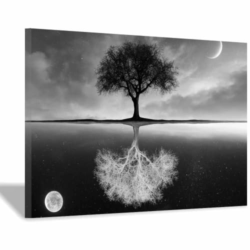 Affiche noir et blanc XENIOU 60x90cm encadrée lune dans l'arbre pour salon
