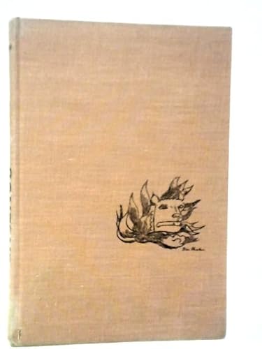 The Shape of Content B007ZK9P90 Book Cover