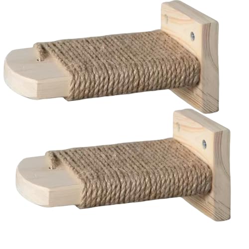 L  Xebv Lp P[W qL VjAL 15cm/21cm LP[W̐ݒuX^C PP[W p`tp 2 21cm