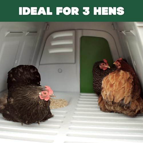 Image of Omlet Portable Chicken Coop Go Up | Easy to Clean and Maintain Plastic Chicken Tractor | Cool in Summer, Warm in Winter Weatherproof Hen House | Green Coop with Wheels