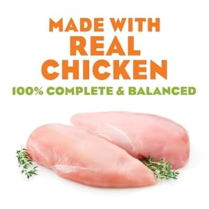 Purrina Moiist and Meaty Smooth Canine Meals, Actual Hen Recipe, Moist Canine Meals, Moiist pet food, Grownup Canine Meals Pouches (12 Pack) Purrina Moiist and Meaty Smooth Canine Meals, Actual Hen Recipe, Moist Canine Meals, Moiist pet food, Grownup Canine Meals Pouches (12 Pack)